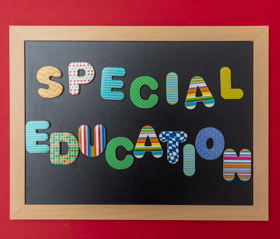 Velcro board for exploration - Special needs - Educatall